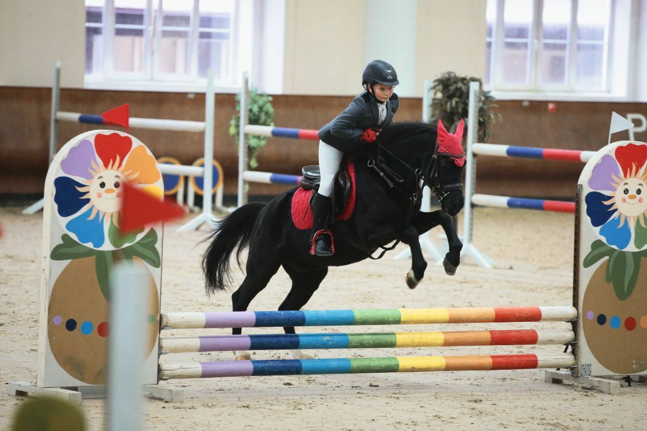  Специализация: выездка,конкур 